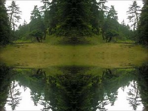 Eight Legged Alien - Lysergic Vibrations