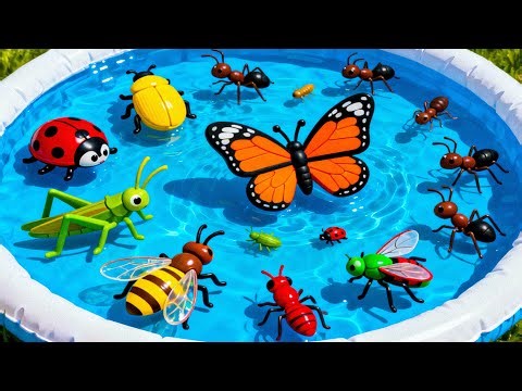 Insects Names🐜🐞🐛 Name of Insects | Insects Name with Pic for Kids Learn Insects Name Animals