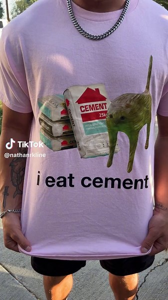 American Eagle Screech TikTok Compilation