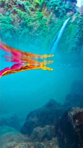 iran beauty in 4 season