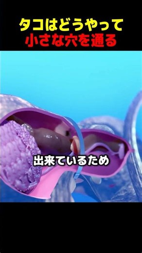 How Octopuses Squeeze Through Tiny Holes