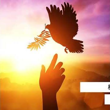 SDGsの目標16「平和と公正をすべての人に」で問題となっている世界の現状は？