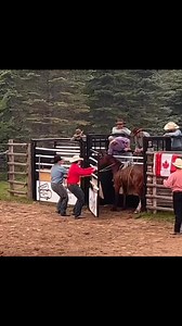 Buck Back Thursday! 95 pts is still the highest marked score in the CMBH by this colt at the Siklenka Bucking Horse Futurity in 2023. #1futurityassc #cmbhbucksmore #futurityoffortunessale @topfans | Canadian Made Bucking Horses