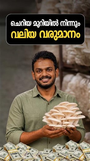 How to Start Mushroom Farming ? | Mushroom Farming Malayalam | Mushroom Farming Explained