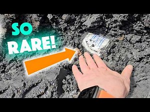 This MEGA find takes us on a CRAZY journey!