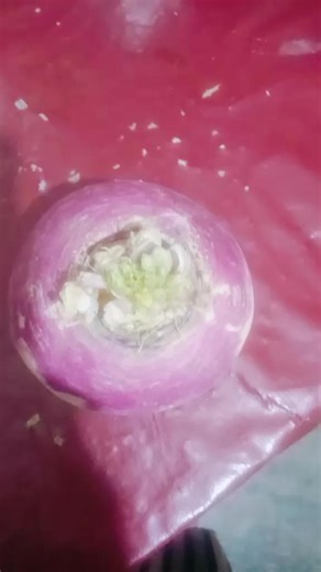 Mara Pakistan on TikTok