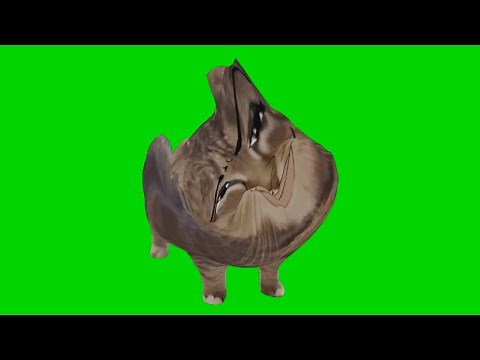 Ulpu - Spinning Sigma Cat Song (Official Animated Music Video)