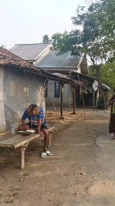 Murus tunjung | Haji Awonk