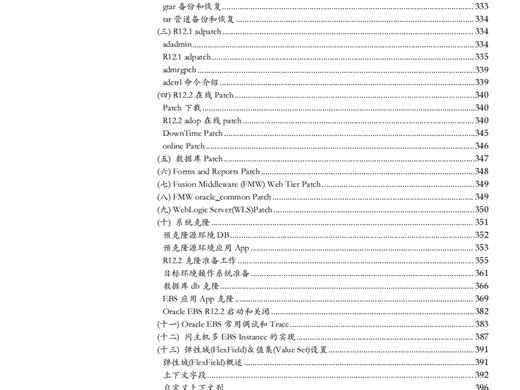 Oracle erp Oracle EBS顾问成功之路丛书系列之：EBS&ERP高级DBA专家与运维实践