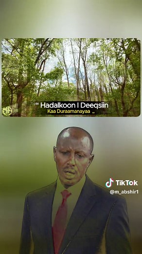 Duufaan Ku Qaadiyoo - Cumar Dhuule