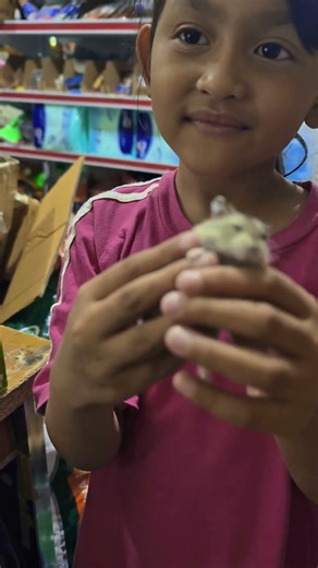 cute hamster in keyboard 👀👉