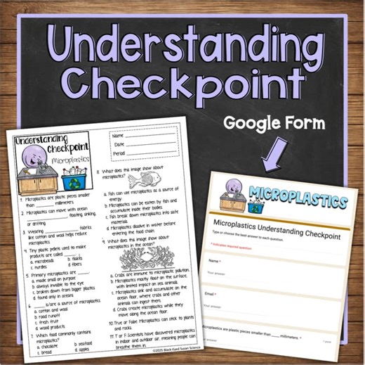 Microplastics Doodle Notes & Quiz | Ecosystem Pollution NGSS Differentiated