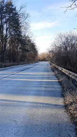 1er sauvetage de l’année 2026 ✨ Deux jeunes chiens, un frère et une sœur qui se trouvaient en danger au bord de la route. Probablement abandonnés ou s’étant échappés d’un jardin à cause des feux d’artifice de hier soir … On ne saura jamais mais ils sont désormais en sécurité au refuge ! Ils seront rapidement diffusés afin qu’ils puissent trouver un foyer au plus vite 🙏🏼 #rescuedogs #rescuedogsofinstagram #dogsfromstreets #streetsdogs #rescuefromromania #romaniandogs #associationwof #rescue | A
