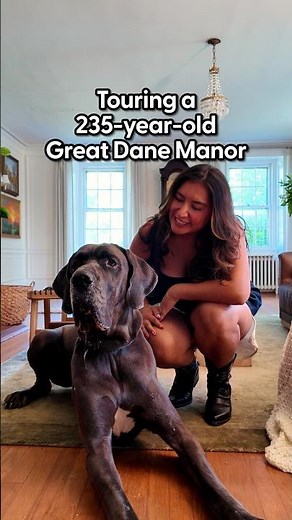 Inside A 235-Year-Old Manor Built Around A Great Dane | The Dodo