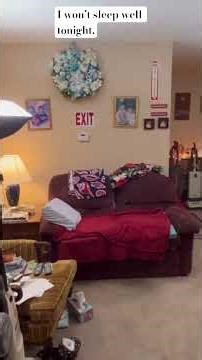 Is there an animal hiding in my wall? #ohio #shorts