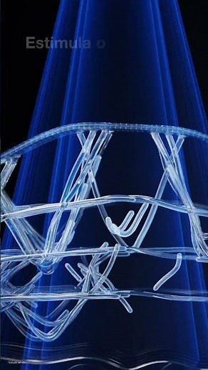 Efeito Lifting Visivel | SkinCeuticals