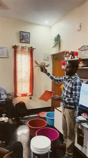 Nags Aquaculture Farming on Instagram: "Crab Farming Live Workshop | Real-Time Farm Setup & Feeding Demo | farm visit 9663636355 🦀 Join Our Live Crab Farming Webinar! Learn complete Mud Crab (Scylla serrata) farming — from seed selection to harvesting — directly from experienced and successful farmers. What You’ll Learn in the Live Session: ✅ How to set up your crab farm (ponds/tanks/cages) ✅ Seed selection and stocking density ✅ Feeding techniques and water management ✅ Fattening & harvesting 