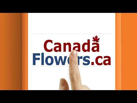 Canada Flowers Blooming Beauty, Delivered Across Canada!