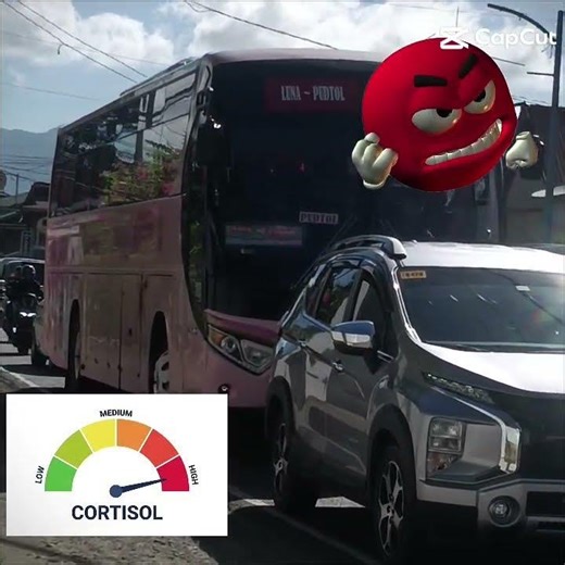 High Cortisol or Low Cortisol Bus Spotting - Sasali Ako sa Trend