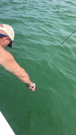 4.1K views · 22 reactions | Coot’s Sheepshead #throwback #fishing #saltwater #sheepshead | Coots Lures | Facebook