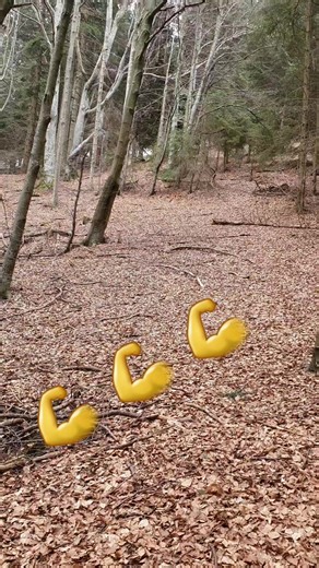 Videoclipuri postate de FERMA DE LA BRAN. (@ferma.de.la.bran) cu sunet original - FERMA DE LA BRAN.