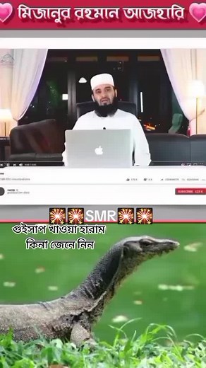 Exploring Monitor Lizards: Images and Insights