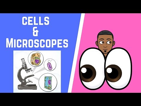 Cells & Microscopes