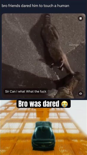 Bro was NOT expecting that