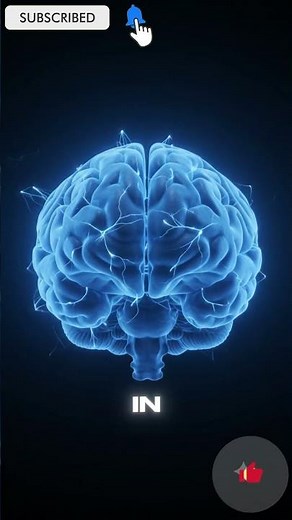 How Your Brain Fires a Single Signal — Inside a Neuron