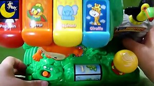 VTech Learn and Dance Interactive Zoo Review