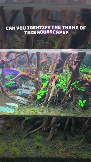 Can you identify the theme of this aquascape? | #aquascape #aquarium
