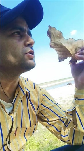 use Mod Se Bhi Ham gujre Hain #India #Nepal daravana Ghat