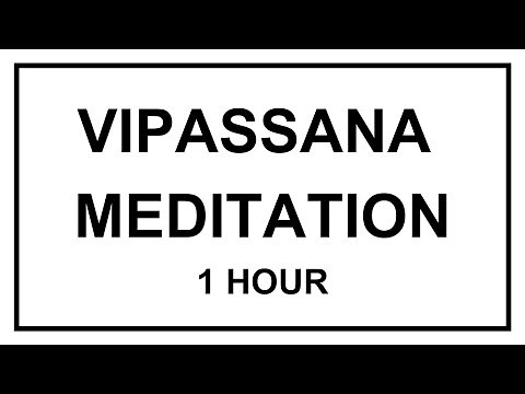 Vipassana Meditation 1 Hour | Silent Practice | 5 Minute Bell Intervals