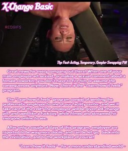 The Learn how it feel Program