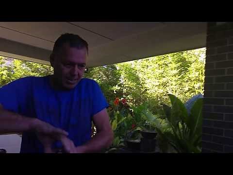 Hopeless at DIY / How To Convert a Bird Bath Into a Planter - Leanne's Garden Projects #14