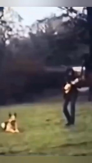 10K views · 517 reactions | Rare Home Video  Led Zeppelin , 1971. #ledzeppelin #johnbonham #jimmypage #johnpauljones #robertplant #ledzeppelinfans #RareVideos #decade70s #marinamusik | 퐌퐚퐫퐢퐧퐚 퐌퐮퐬퐢퐤 | Facebook