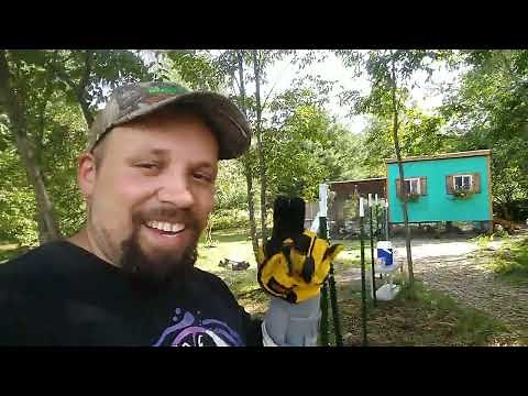 T- Post Fence Build (Chicken Run)