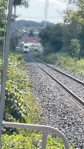 Go Transit 668’s Terrible Horn #train #railroad #railway #gotransit #gotrain #throwback #trainhorns