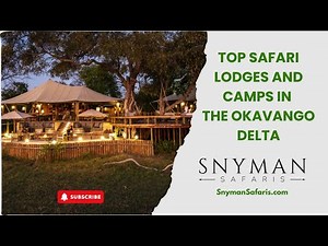 Top Safari Lodges and Camps in the Okavango Delta