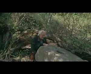 Гриб дождевик Puffball (2007)