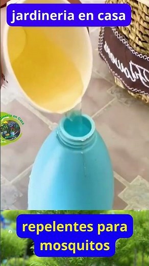"Complete Guide to Mosquito Repellents: How to Choose the Best One for You"