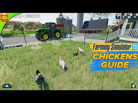 All About Chickens in Farming Simulator 23! FS23 Gameplay