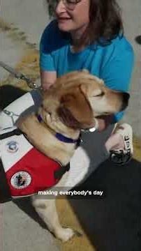 Furry friend helps sailors aboard Navy ship