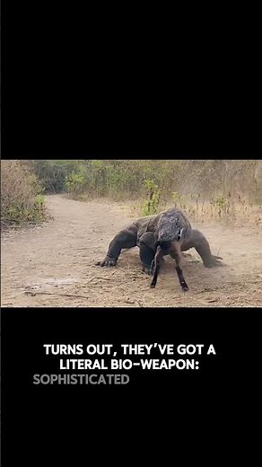 Real Life Dragons Actually Exist! 🐉 #KomodoDragon #Wildlife #Nature #Shorts