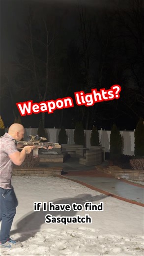 Surefire x300 Streamlight tlr1 tlr7 #pewpew #2amendment #edc