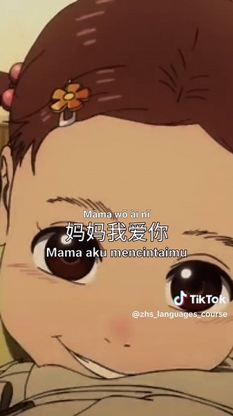 ZHS Languages Course on TikTok