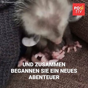 524K views · 7.7K reactions | Bali war erst ein paar Stunden alt, als...