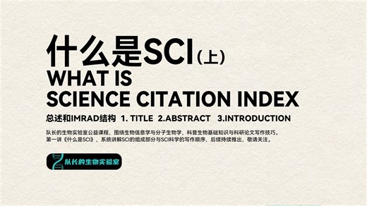 什么是SCI（上）｜SCI论文“速通秘籍”来了！了解SCI结构，理清写作顺序，就完成了80%的主线