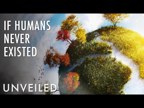 What If Earth Never Had Humans? | Unveiled