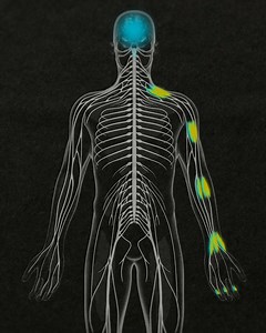 Watch a neuroscientist trick the brain into feeling pain: | NOVA l PBS